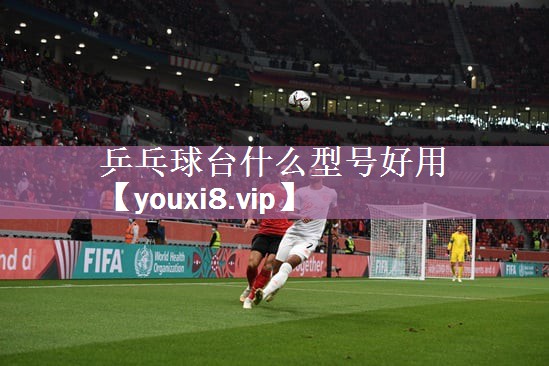 乒乓球台什么型号好用
